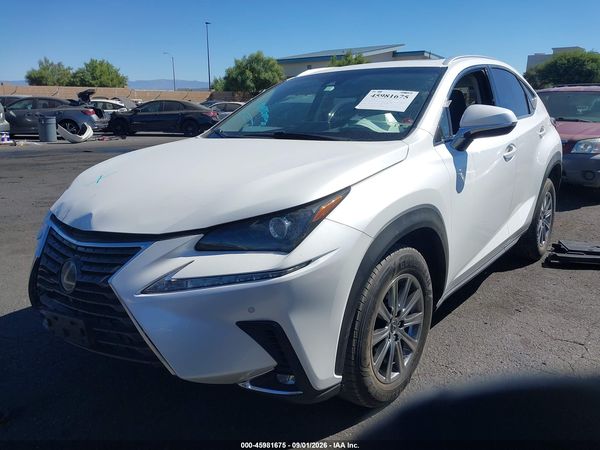 2019 LEXUS NX 300 300 Luxury