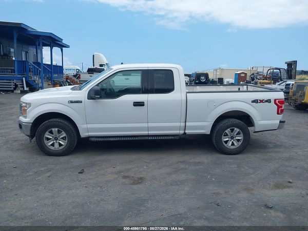 2019 FORD F-150 XLT