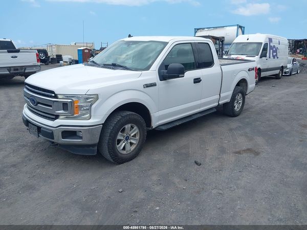 2019 FORD F-150 XLT