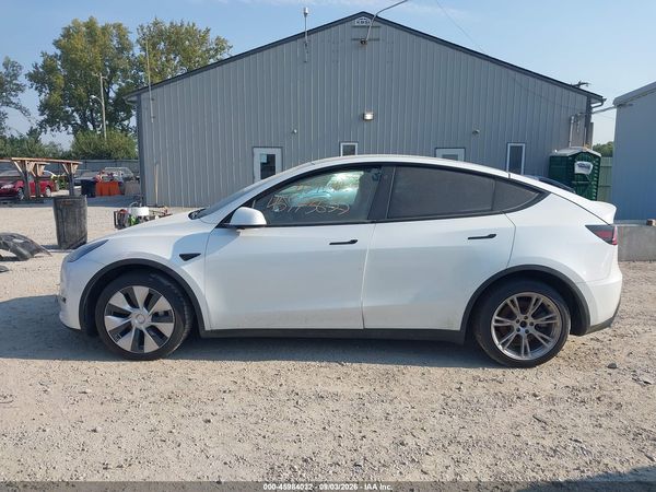 2021 TESLA MODEL Y — I117