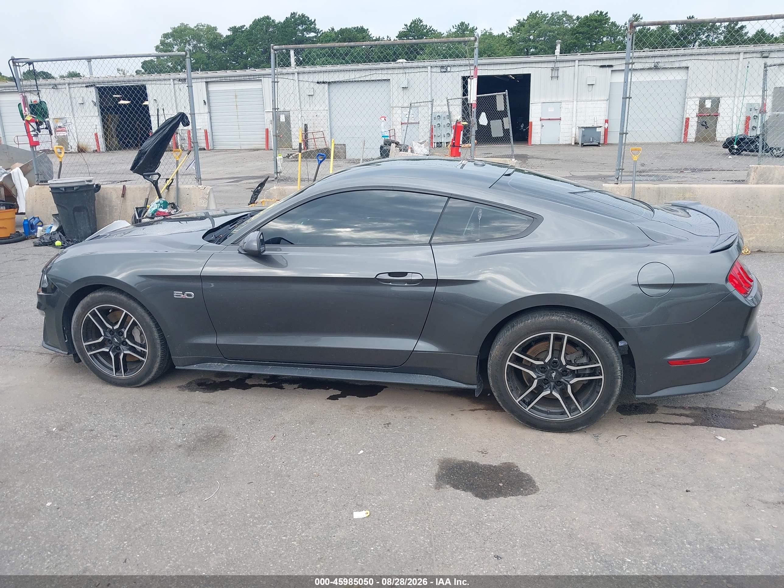 2019 FORD MUSTANG GT