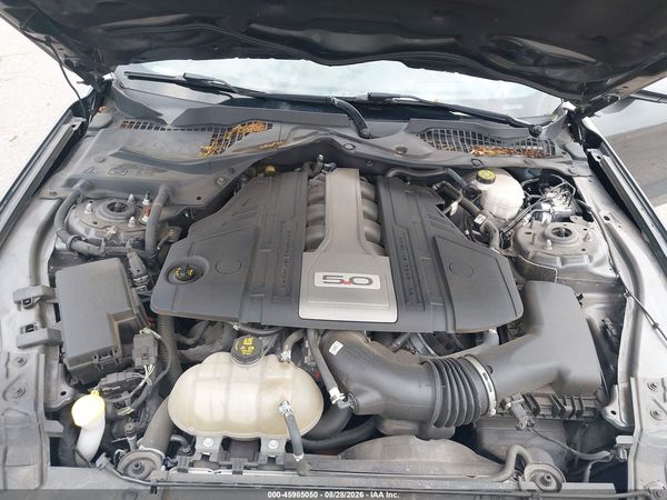2019 FORD MUSTANG GT