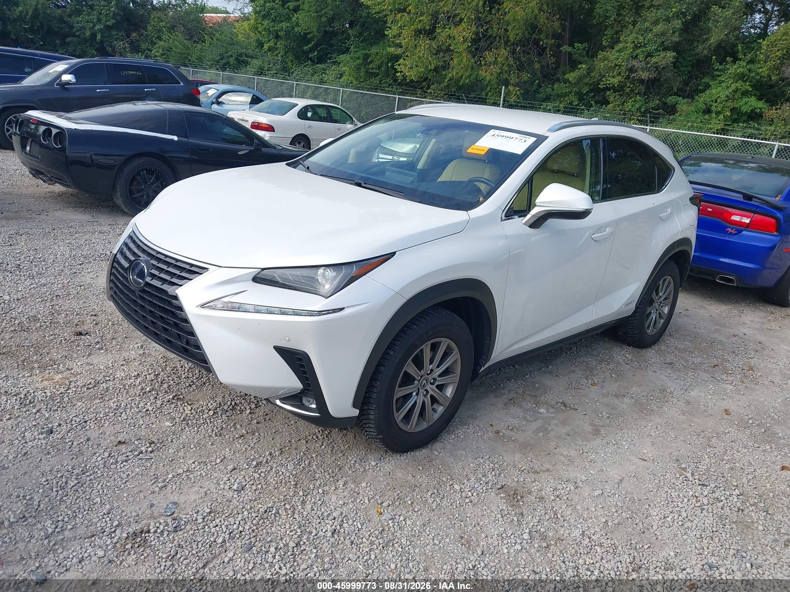 2018 LEXUS NX 300H 300H Luxury — I2