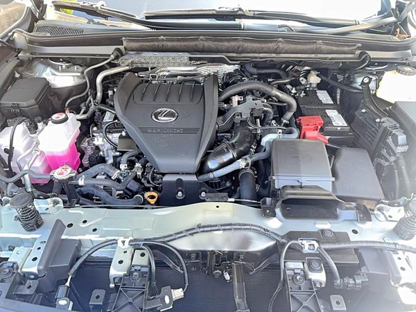2025 LEXUS RX 350