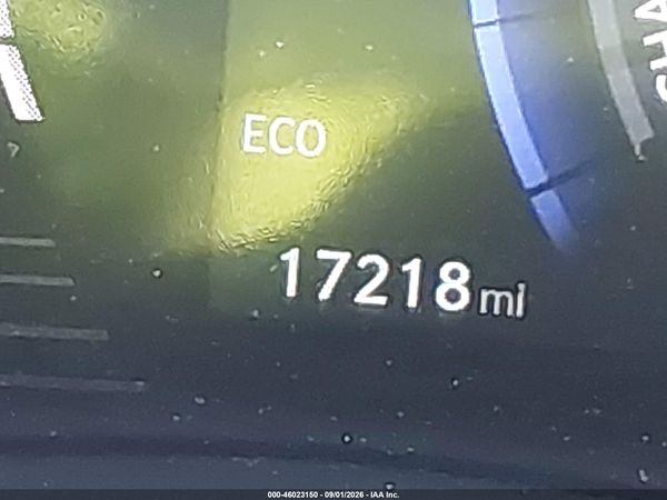 2024 LEXUS NX 450H+ F SPORT HANDLING — I118