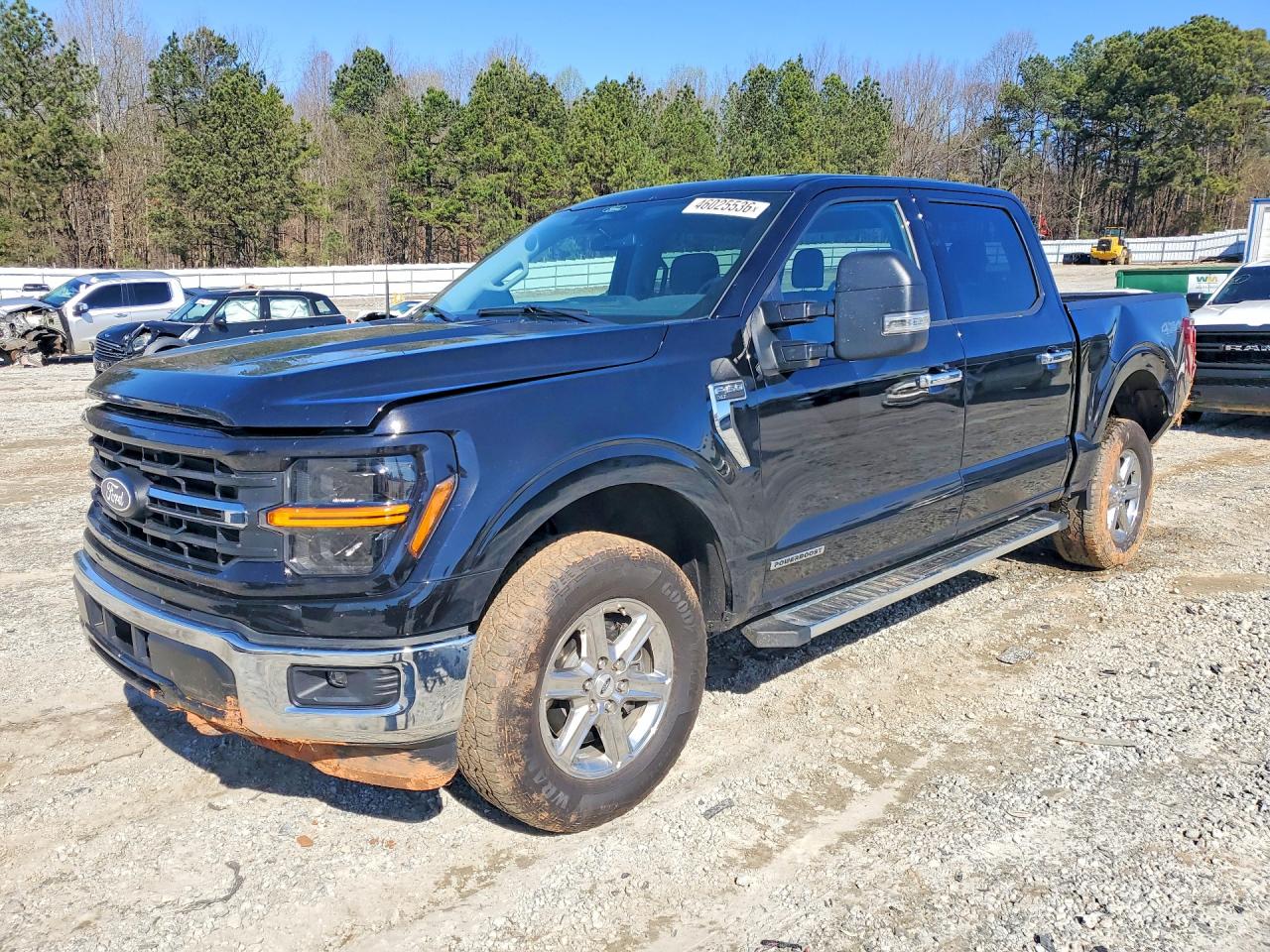 2025 FORD F150 XLT