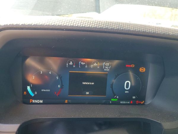 2025 FORD F150 XLT