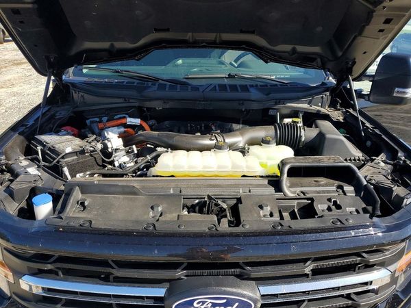 2025 FORD F150 XLT