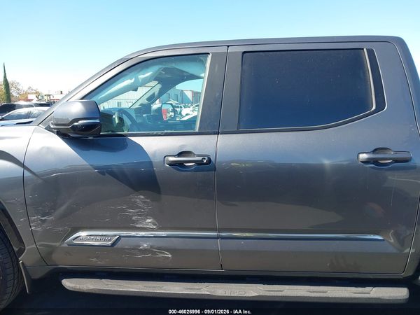 2025 TOYOTA TUNDRA PLATINUM — I117