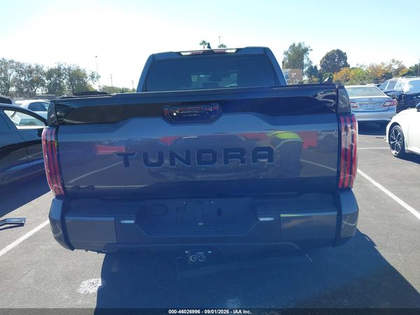 2025 TOYOTA TUNDRA PLATINUM — I119