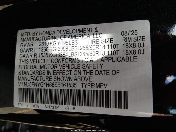 2025 HONDA PILOT TRAILSPORT