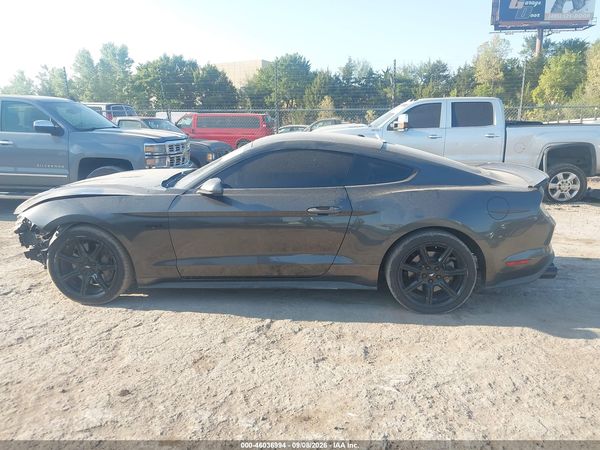 2019 FORD MUSTANG GT — I117