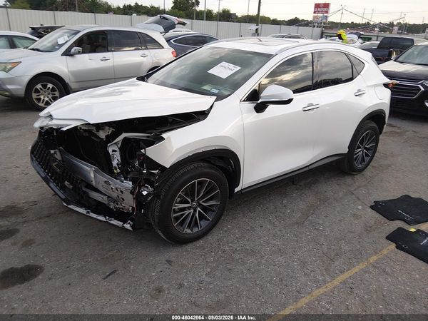 2025 LEXUS NX 250 — I2