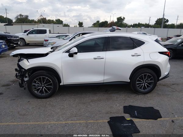2025 LEXUS NX 250 PREMIUM — I117