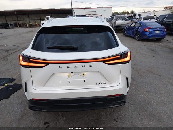 2025 LEXUS NX 250 PREMIUM — I119