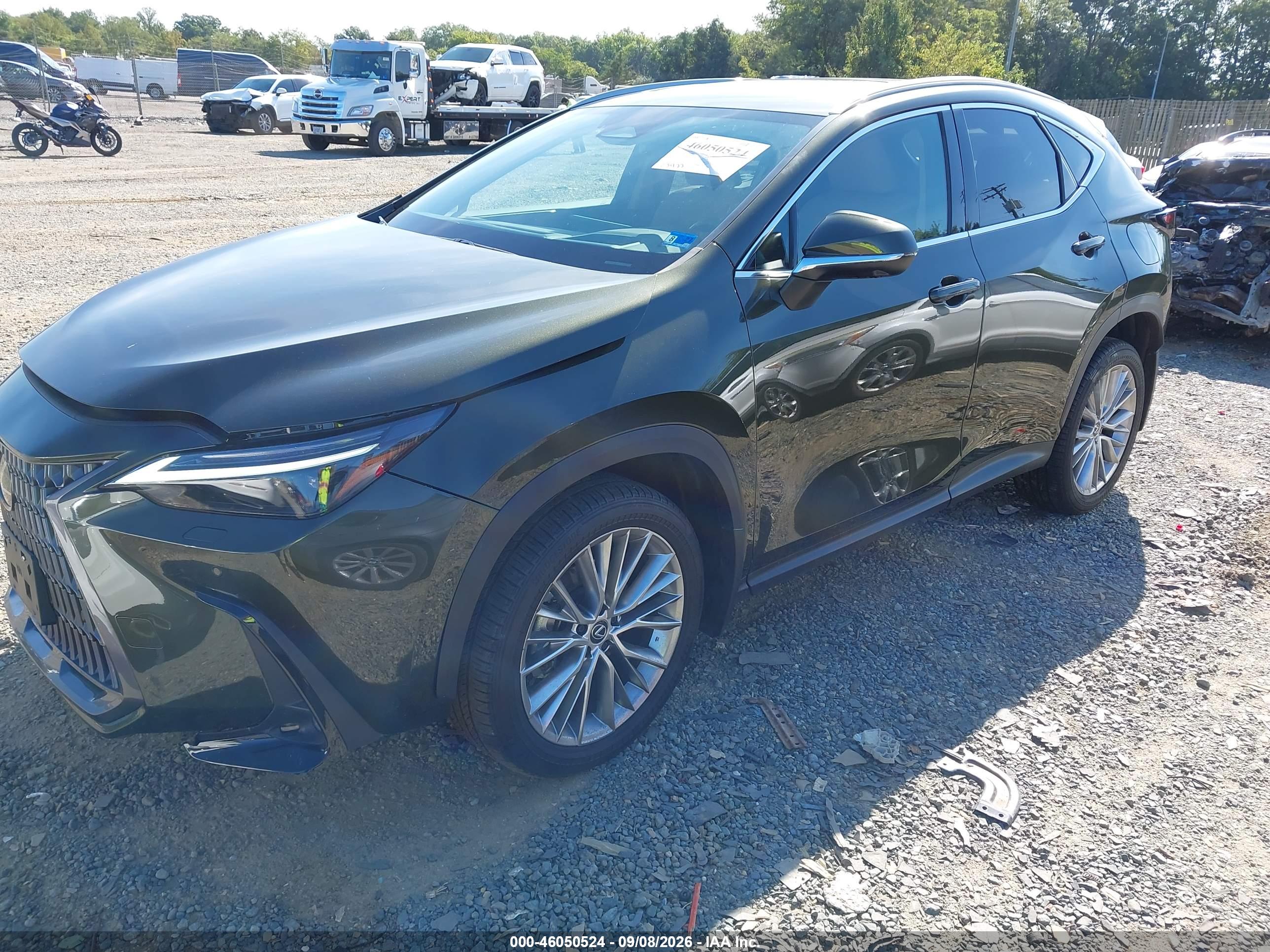 2024 LEXUS NX 350 LUXURY — I2