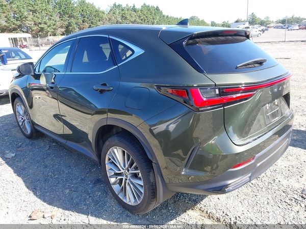 2024 LEXUS NX 350 LUXURY — I3