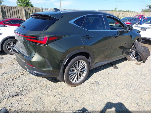 2024 LEXUS NX 350 LUXURY — I4