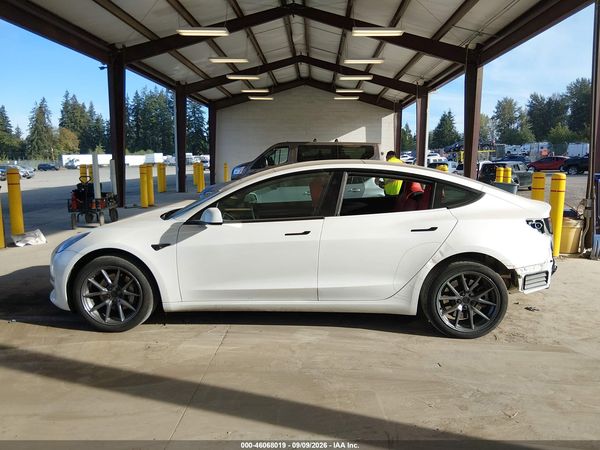 2023 TESLA MODEL 3 REAR-WHEEL DRIVE — I117