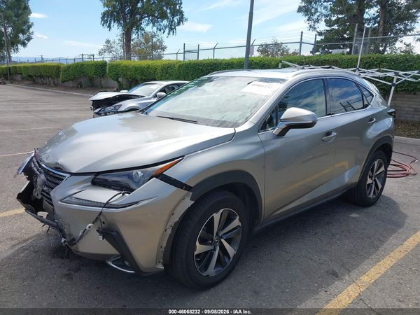 2019 LEXUS NX 300 300 Luxury