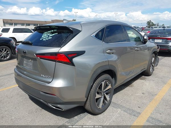 2019 LEXUS NX 300 300 Luxury
