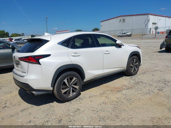 2019 LEXUS NX 300 300 Luxury — I4