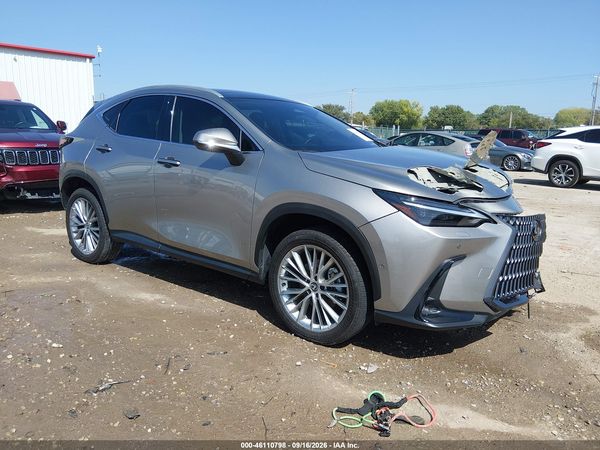 2024 LEXUS NX 350H LUXURY — I1