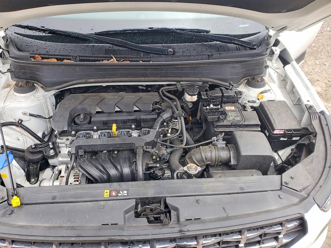 2024 HYUNDAI VENUE SEL / Limited