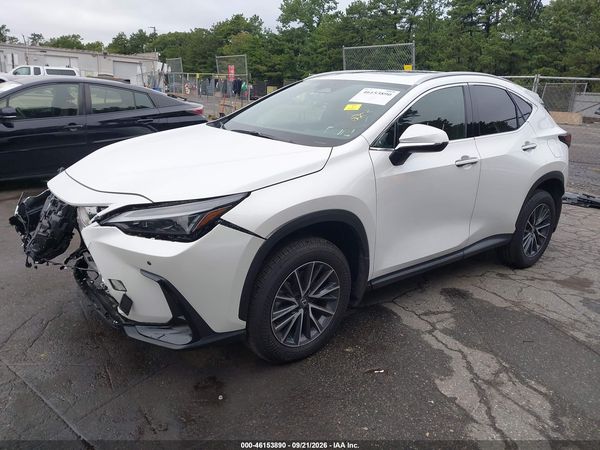 2025 LEXUS NX 350 — I2