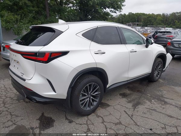 2025 LEXUS NX 350 — I4