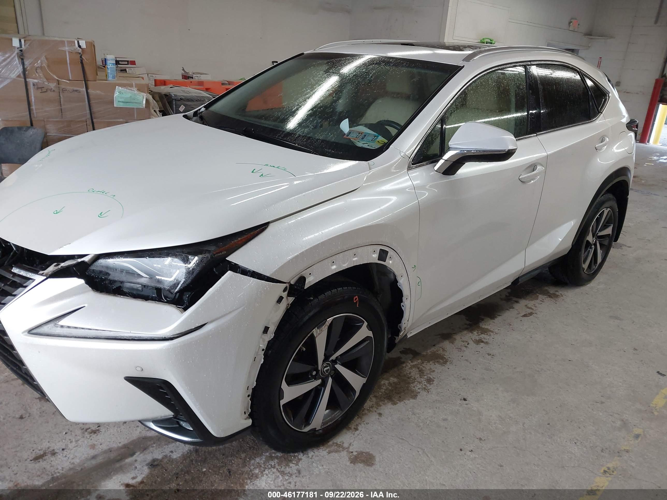 2019 LEXUS NX 300 300 Luxury — I2