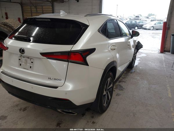 2019 LEXUS NX 300 300 Luxury — I4