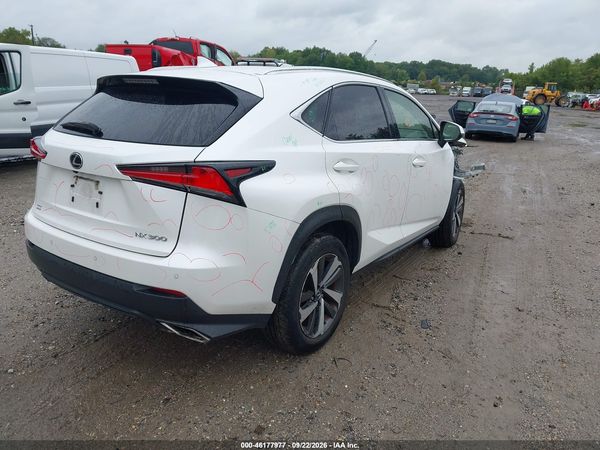 2019 LEXUS NX 300 300 Luxury — I4
