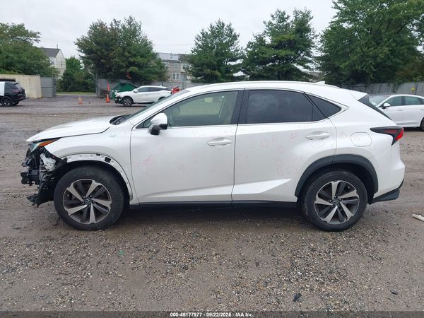 2019 LEXUS NX 300 300 Luxury — I117
