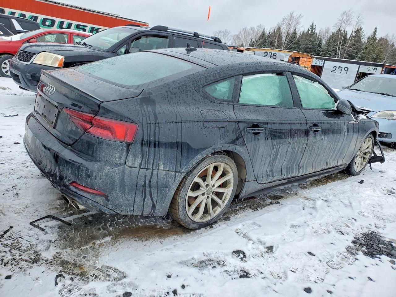 2019 AUDI S5