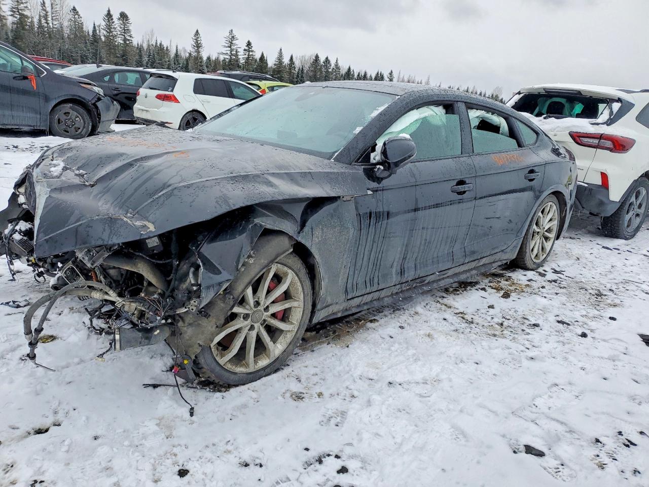2019 AUDI S5
