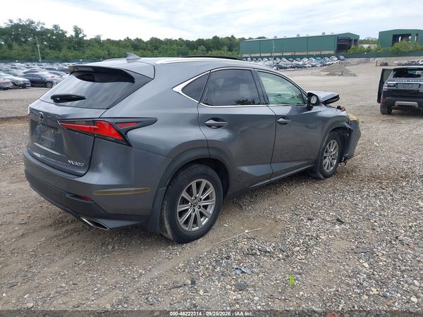 2019 LEXUS NX 300 300 Luxury — I4