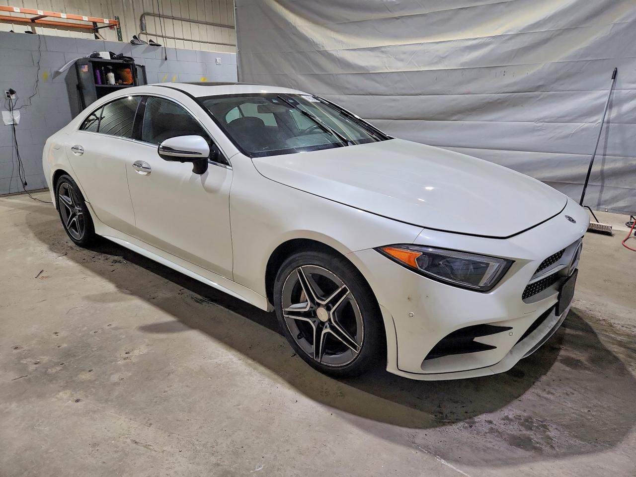 2019 MERCEDES-BENZ CLS CLS450-4M