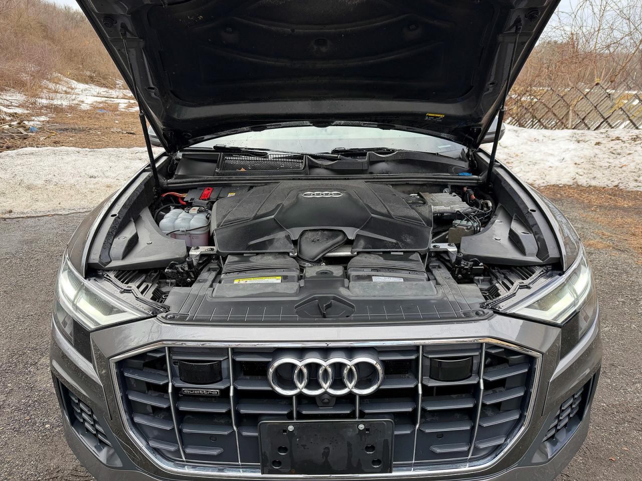 2019 AUDI Q8 quattro Premium Plus