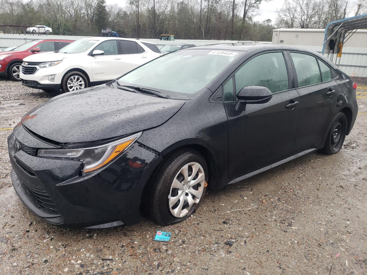 2024 TOYOTA COROLLA