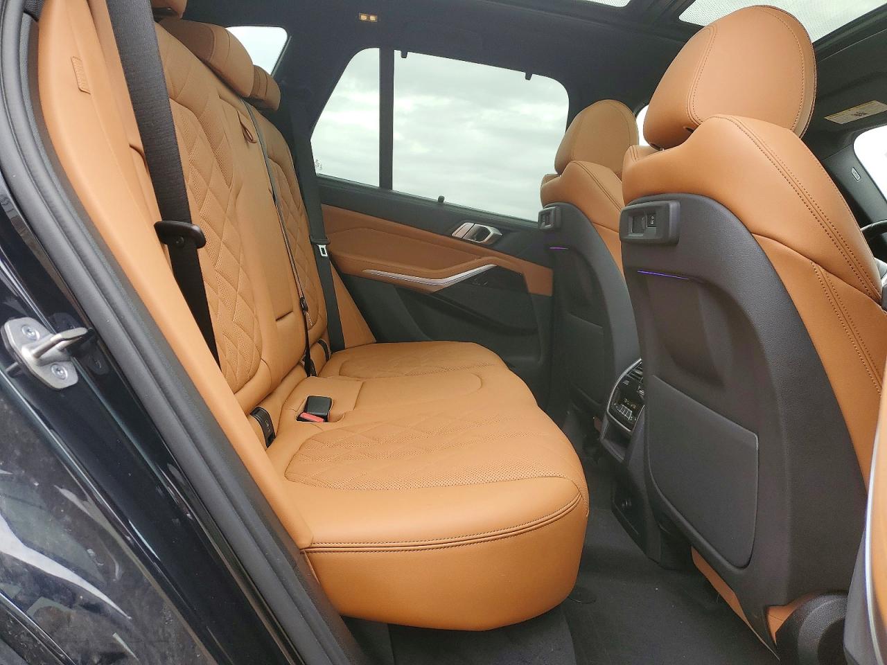 2023 BMW X5 xDrive45e