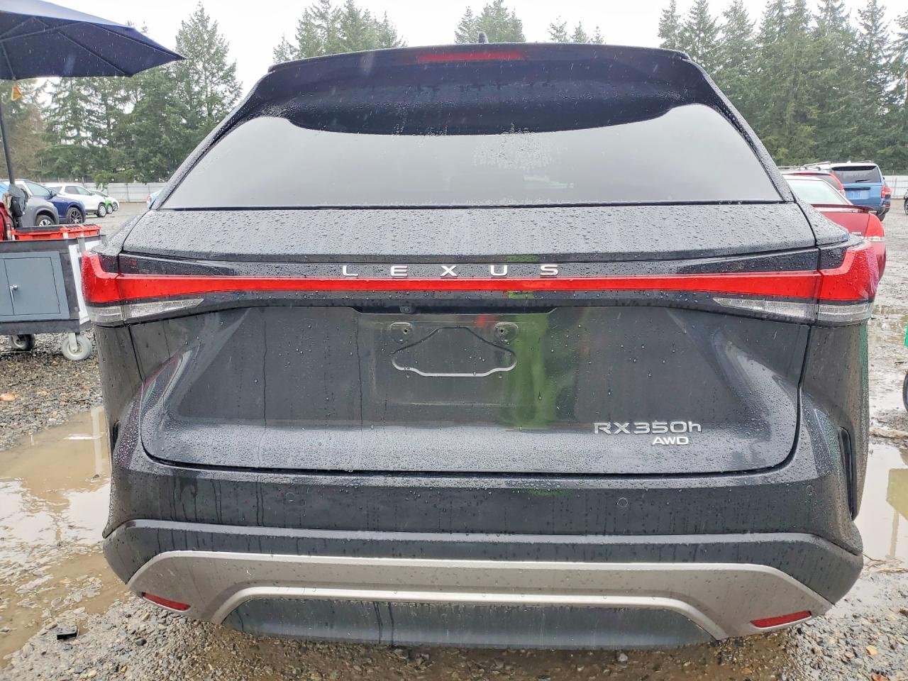 2024 LEXUS RX 350H