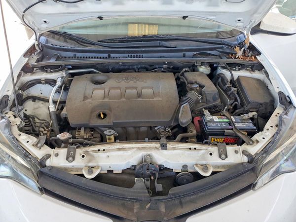 2019 TOYOTA COROLLA L/LE/SE/XLE/XSE