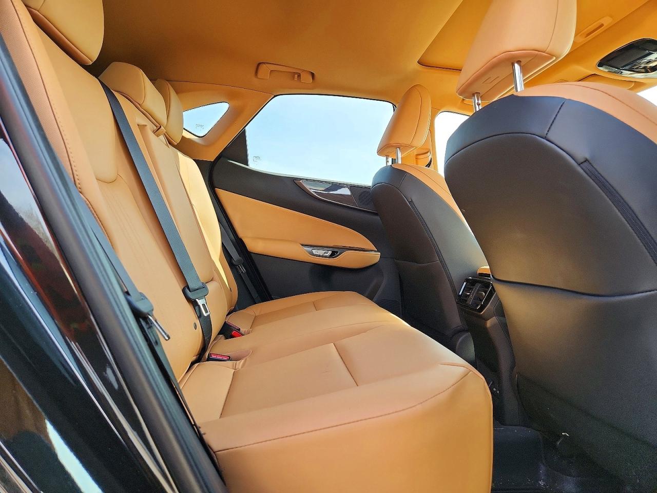 2024 LEXUS NX 350 350 Premium