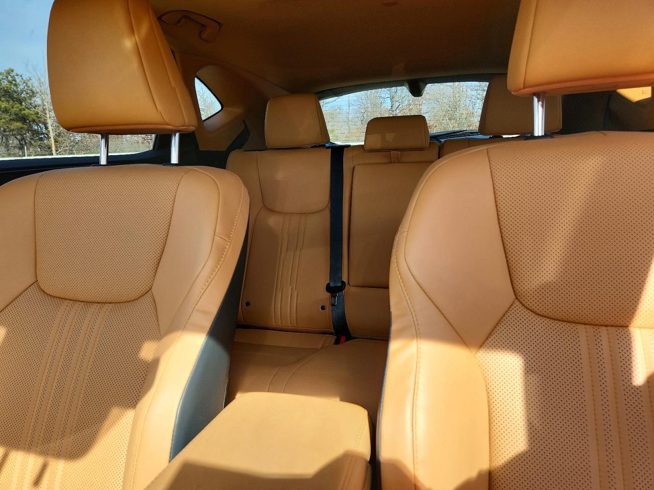 2024 LEXUS NX 350 350 Premium