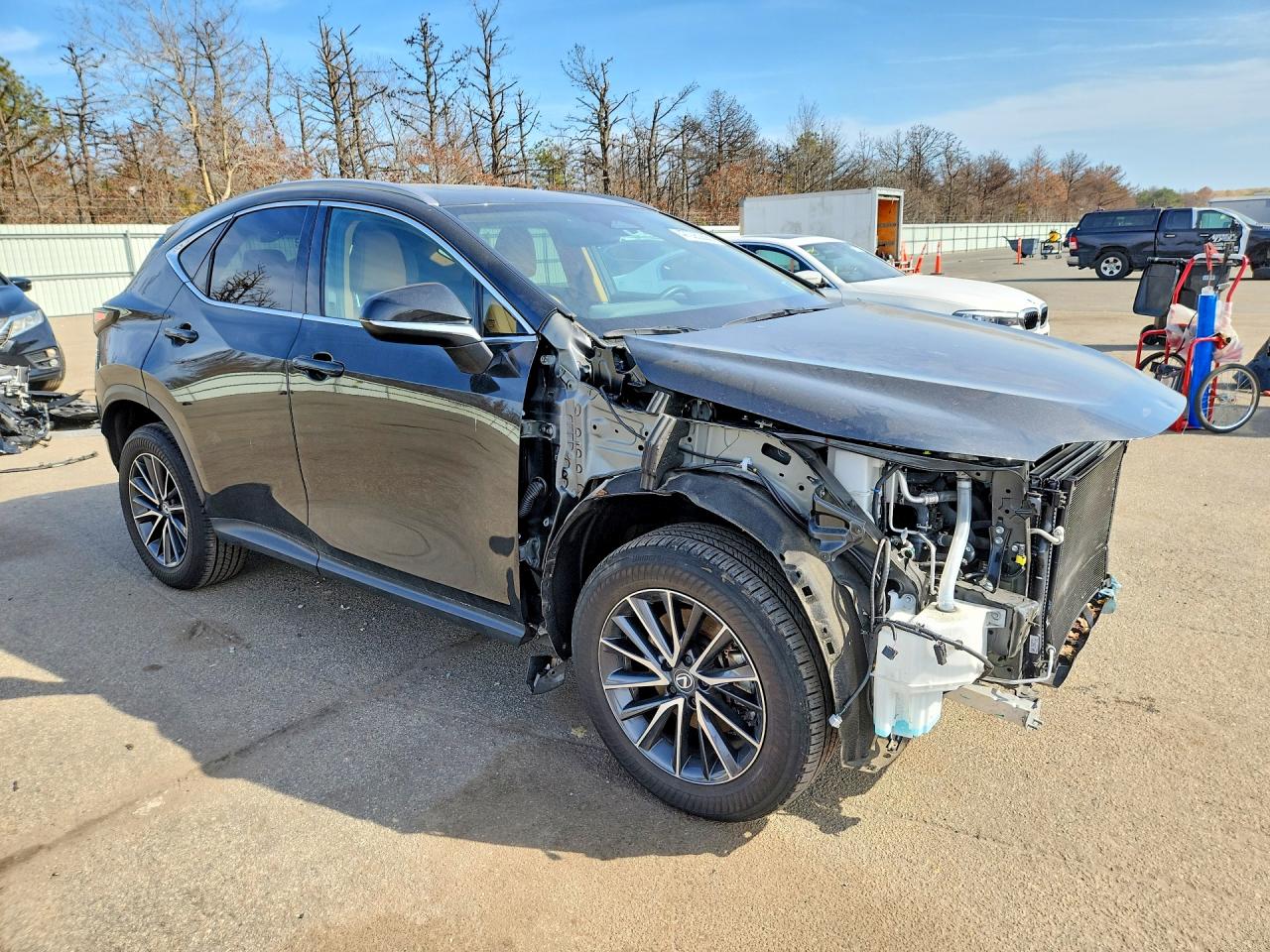 2024 LEXUS NX 350 350 Premium