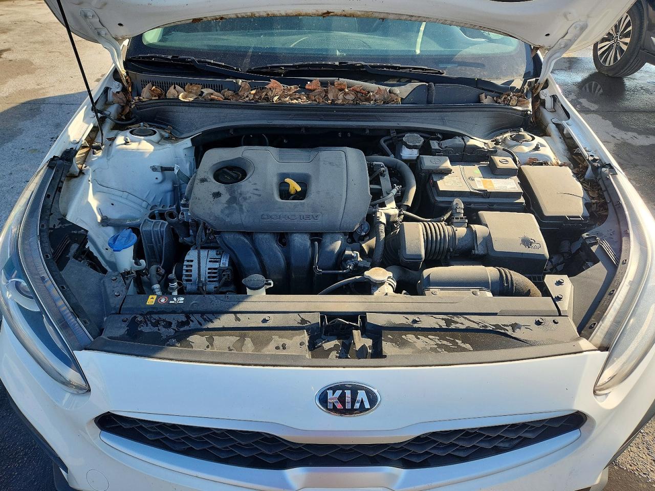 2019 KIA FORTE FE/LX/LXS