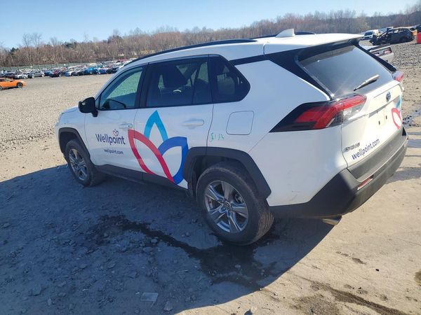 2024 TOYOTA RAV 4