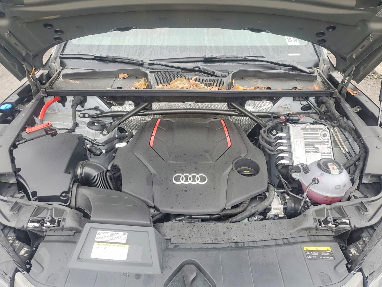 2025 AUDI SQ5