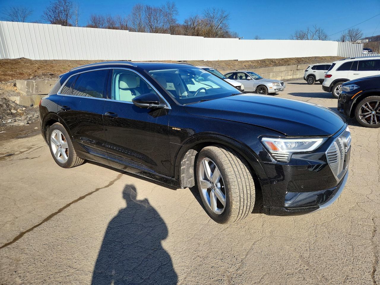 2019 AUDI E-TRON